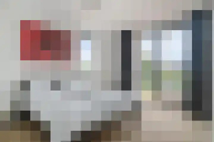 Perengaarde 74 Boskoop thumbnail 17