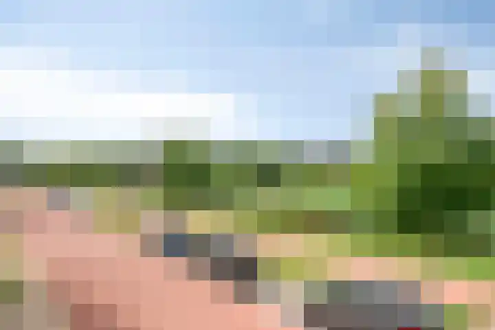 Perengaarde 74 Boskoop thumbnail 20