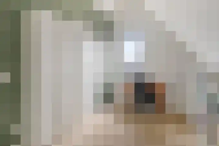 Perengaarde 74 Boskoop thumbnail 25