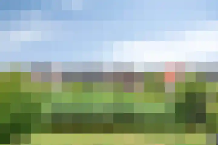 Perengaarde 74 Boskoop thumbnail 29