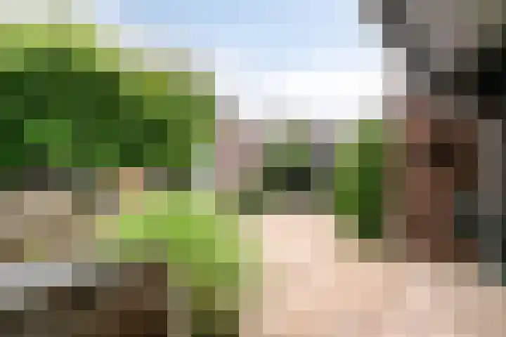 Perengaarde 74 Boskoop thumbnail 33