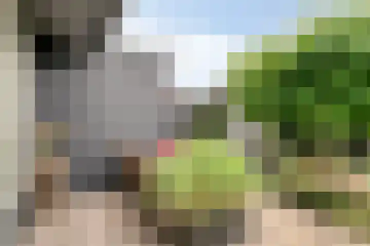 Perengaarde 74 Boskoop thumbnail 34