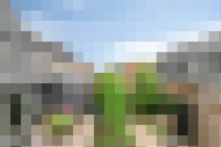 Perengaarde 74 Boskoop thumbnail 37