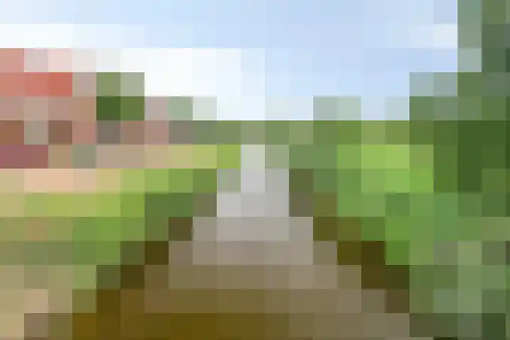 Perengaarde 74 Boskoop thumbnail 38