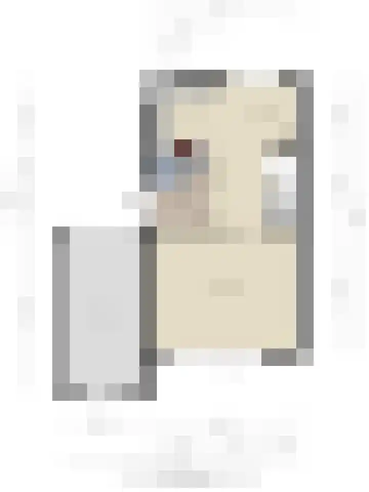 Perengaarde 74 Boskoop thumbnail 39