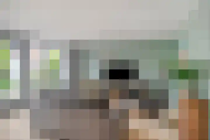 Perengaarde 74 Boskoop thumbnail 4