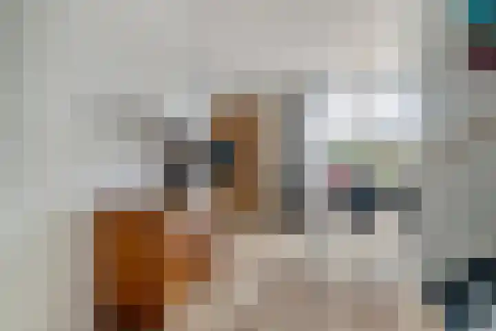 Perengaarde 74 Boskoop thumbnail 7