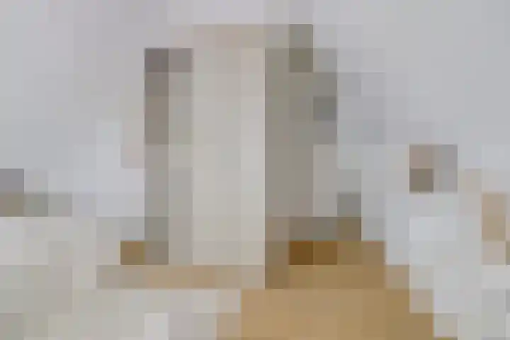 Perengaarde 76 Boskoop thumbnail 28