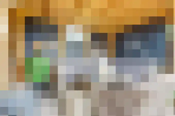 Perengaarde 76 Boskoop thumbnail 34