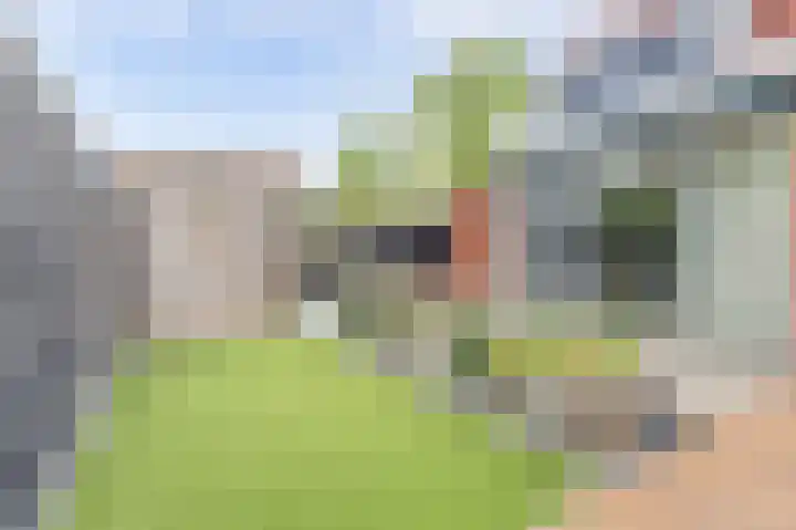 Perengaarde 76 Boskoop thumbnail 35