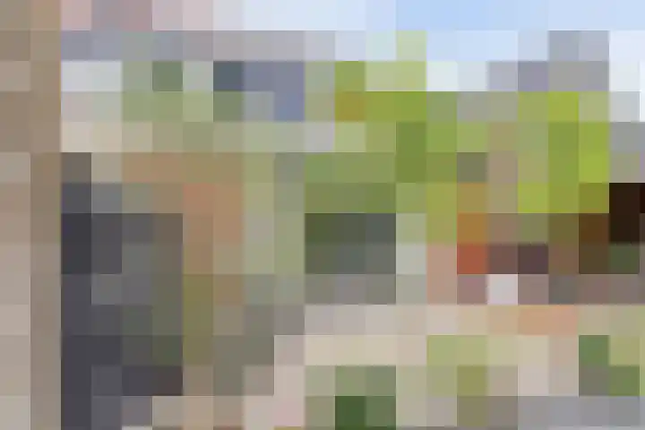 Perengaarde 76 Boskoop thumbnail 39