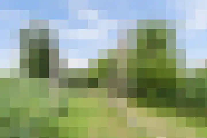 Perengaarde 76 Boskoop thumbnail 43