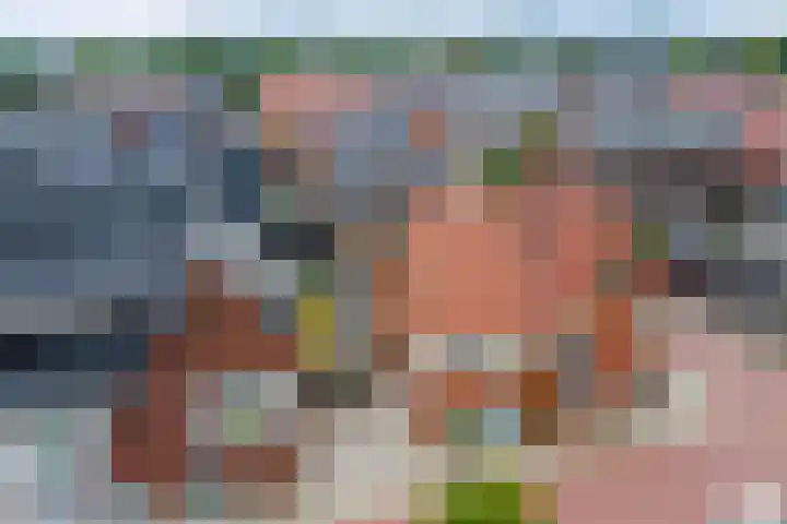Perengaarde 76 Boskoop thumbnail 44