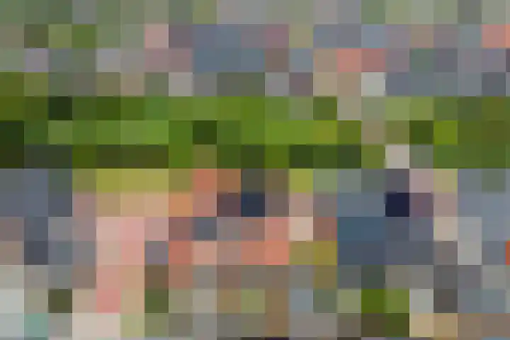 Perengaarde 76 Boskoop thumbnail 46