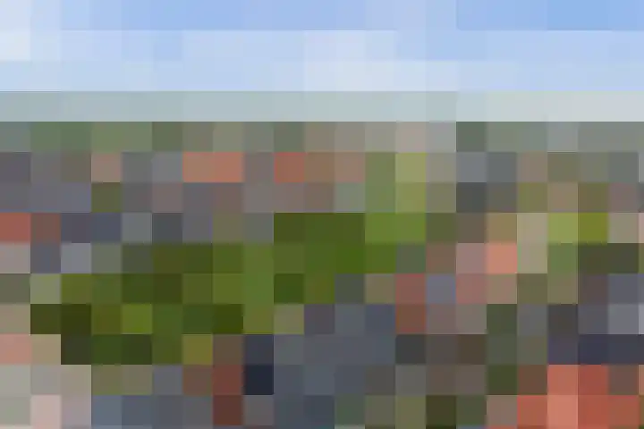 Perengaarde 76 Boskoop thumbnail 47