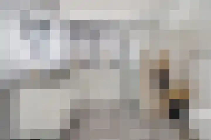 Perengaarde 76 Boskoop thumbnail 5