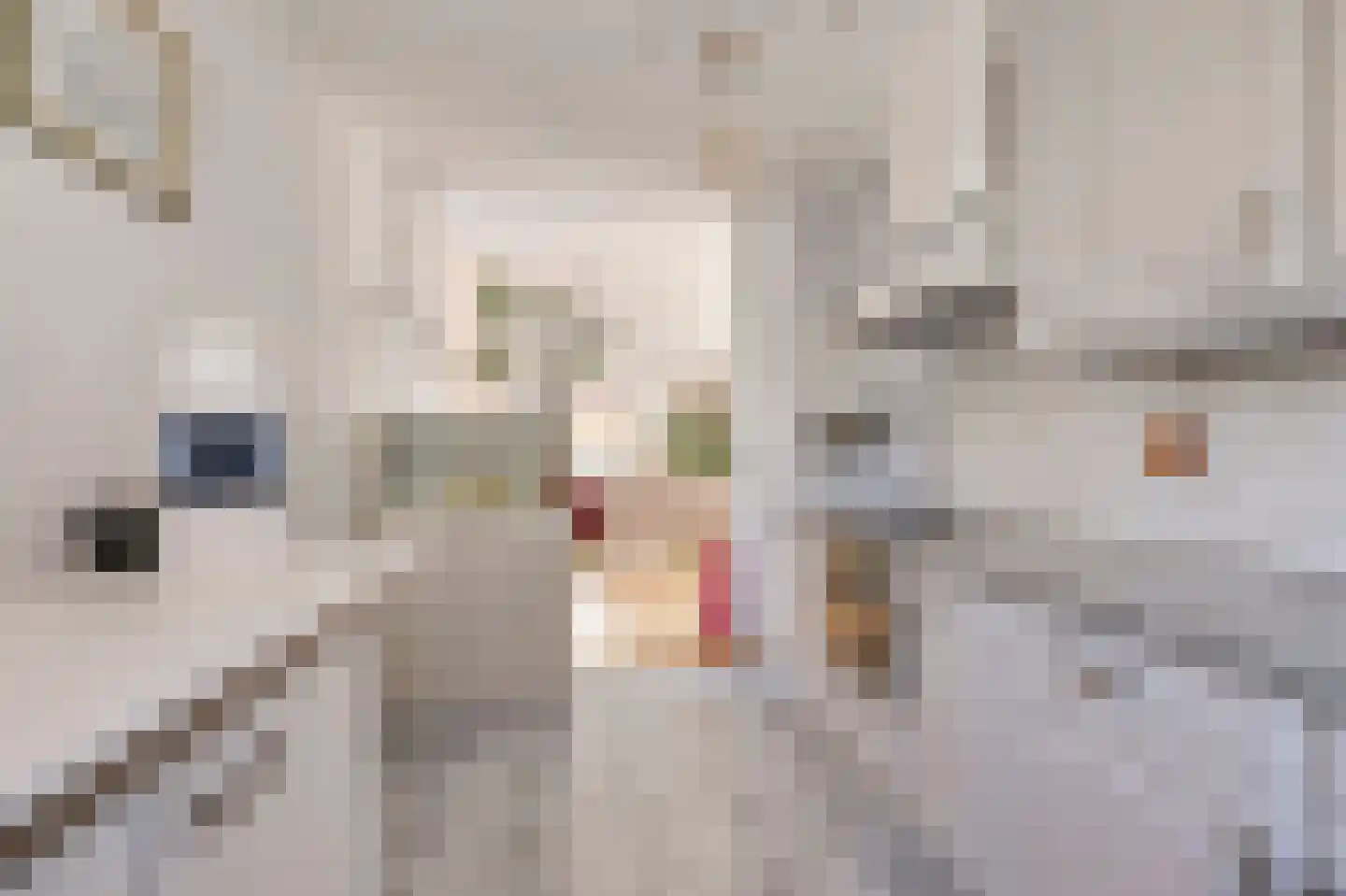 Perenhof 2 Bemmel thumbnail 16