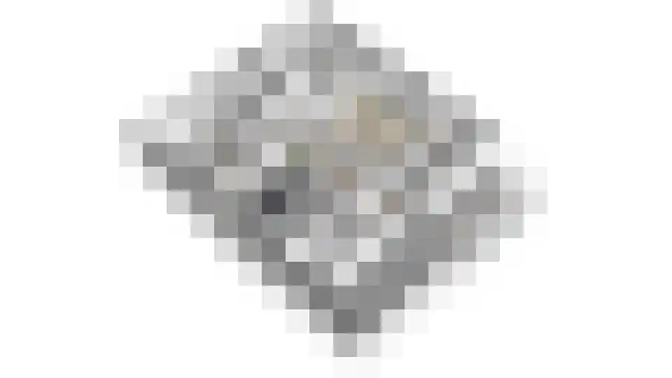 Perenhof 2 Bemmel thumbnail 38