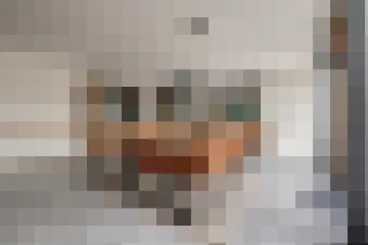 Perenhof 7 Bemmel thumbnail 22
