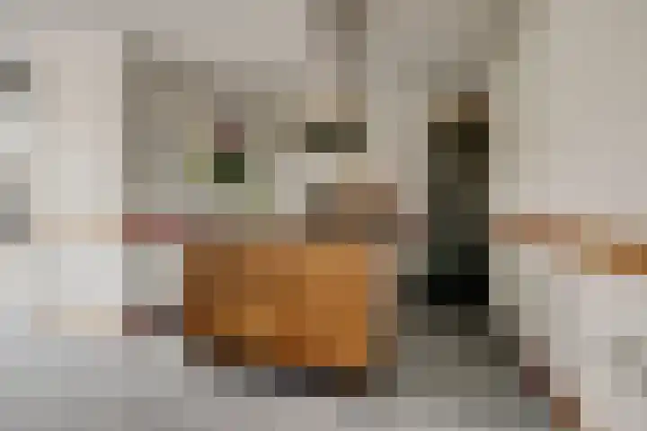 Perenhof 7 Bemmel thumbnail 26