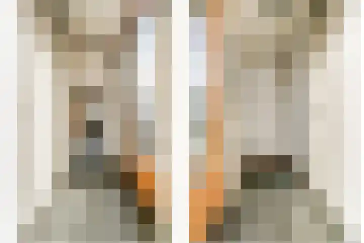 Perenhof 7 Bemmel thumbnail 28