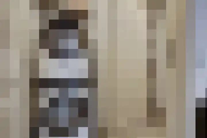 Perenhof 7 Bemmel thumbnail 51