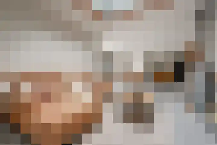 Perenhof 7 Bemmel thumbnail 9