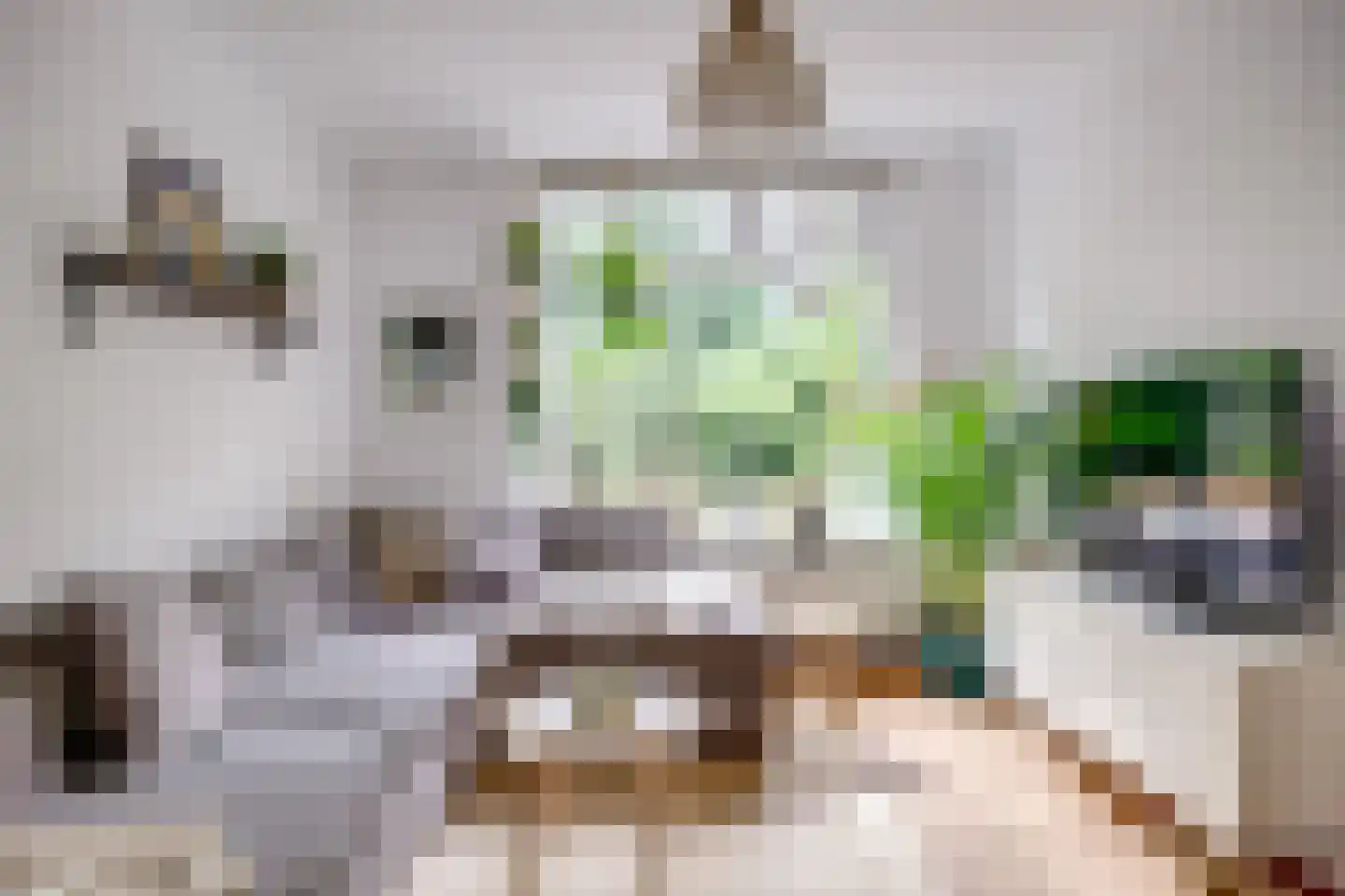 Perenlaan 20 Bilthoven thumbnail 21
