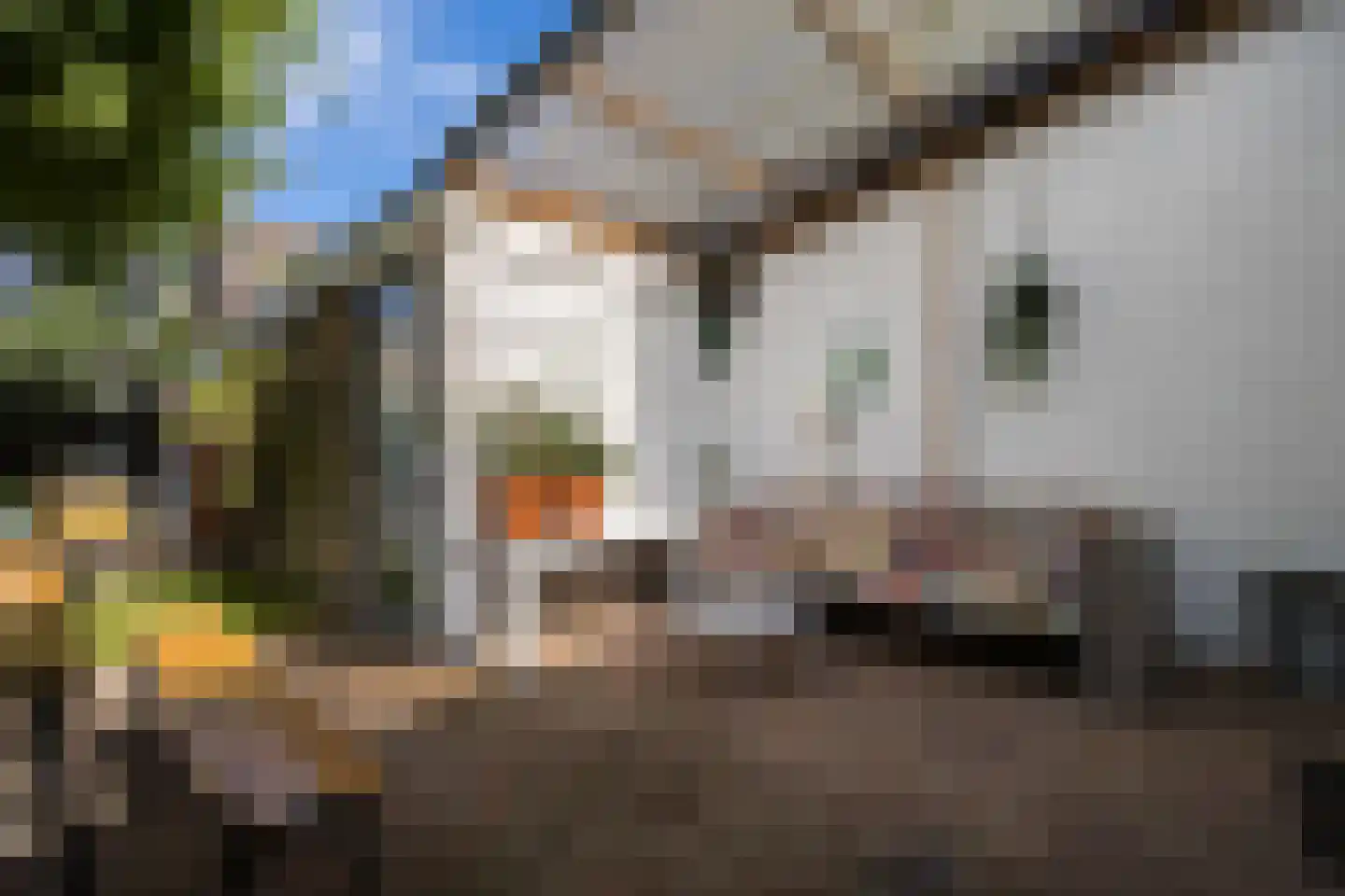 Perenlaan 20 Bilthoven thumbnail 23