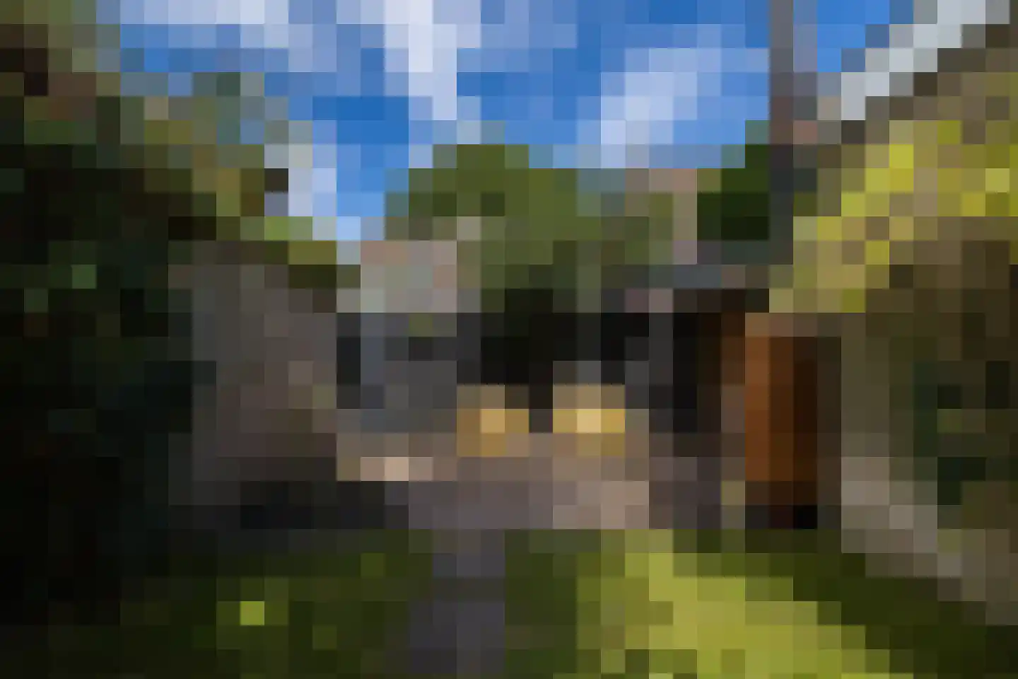 Perenlaan 20 Bilthoven thumbnail 24
