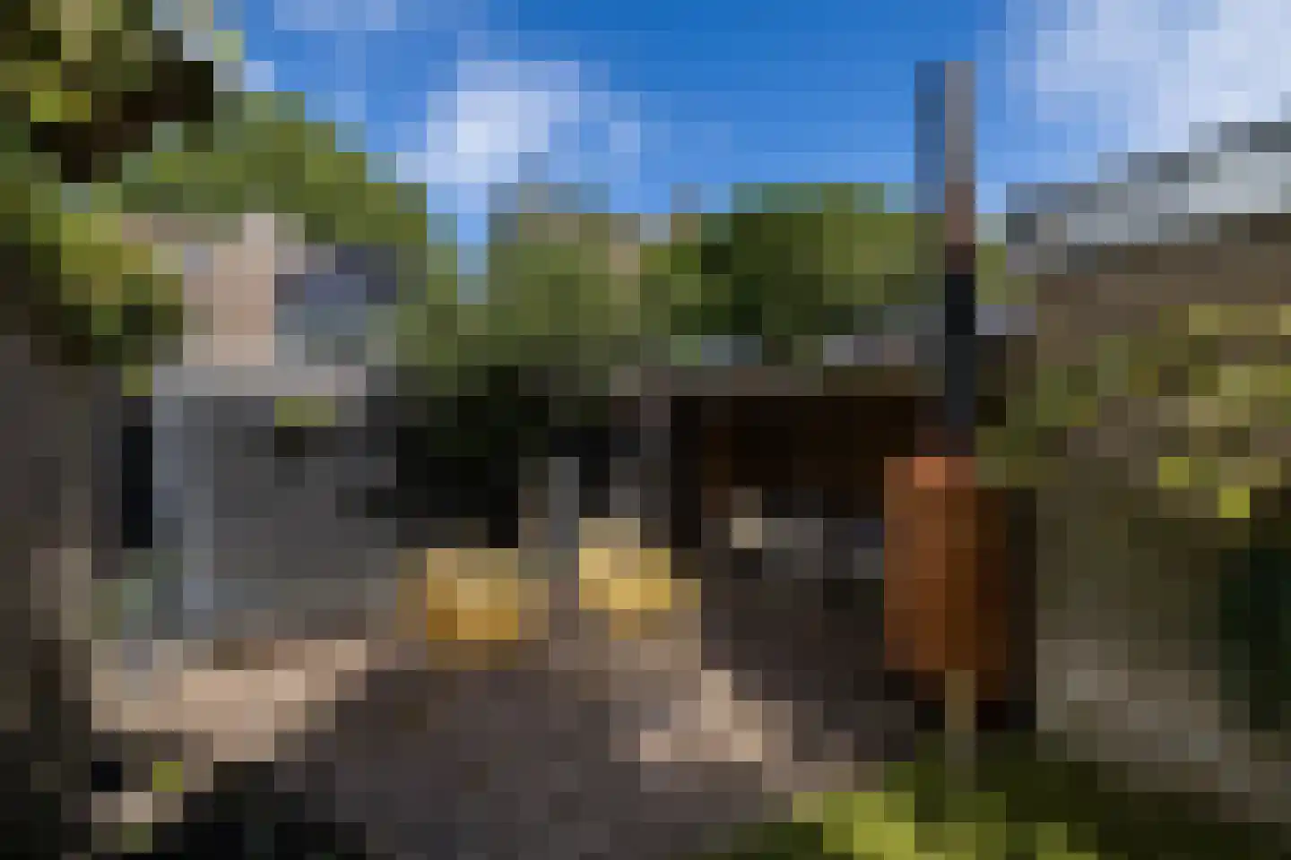 Perenlaan 20 Bilthoven thumbnail 25