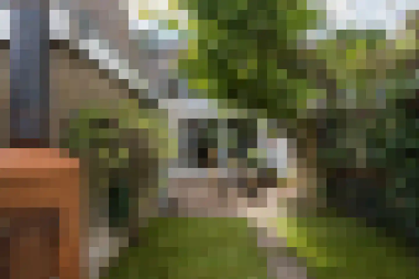 Perenlaan 20 Bilthoven thumbnail 26