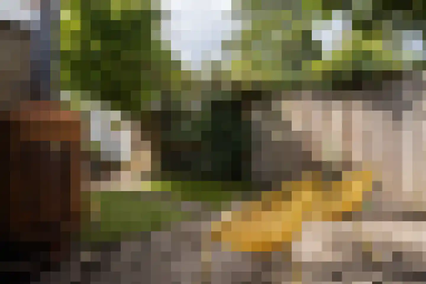 Perenlaan 20 Bilthoven thumbnail 27