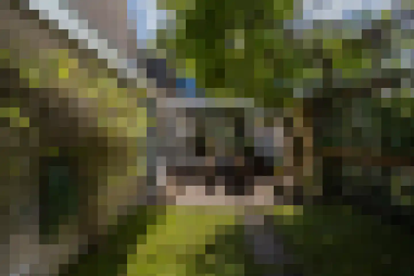 Perenlaan 20 Bilthoven thumbnail 31