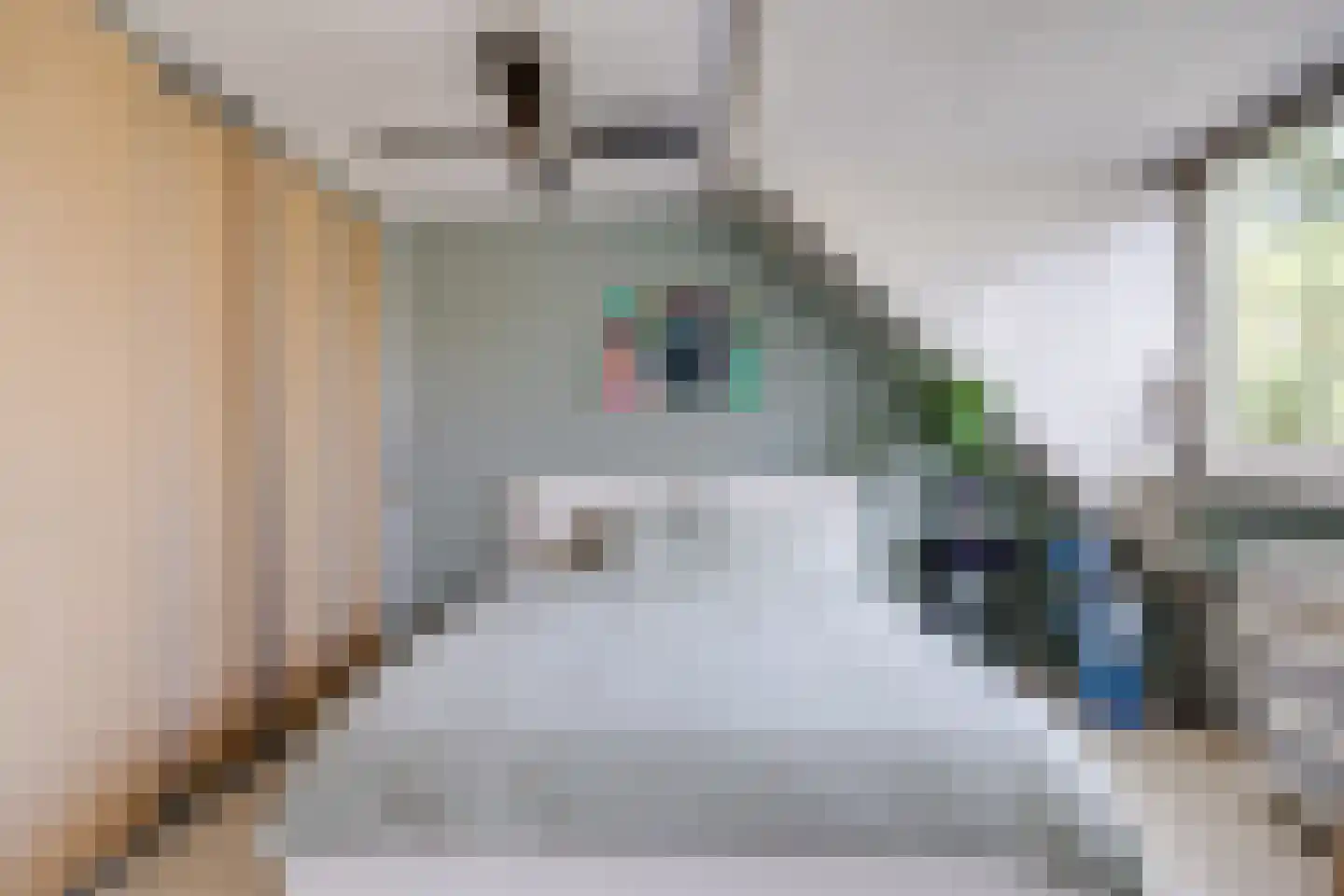 Perenlaan 20 Bilthoven thumbnail 39