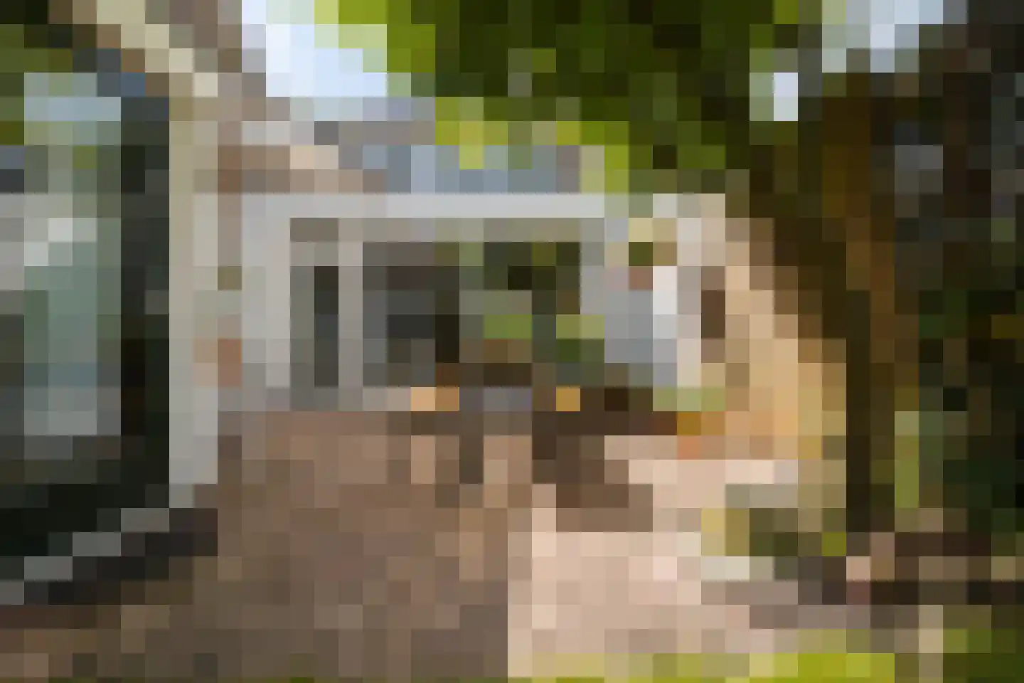 Perenlaan 20 Bilthoven thumbnail 4
