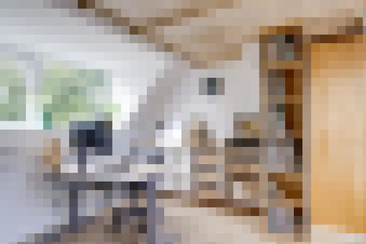 Perenlaan 20 Bilthoven thumbnail 46