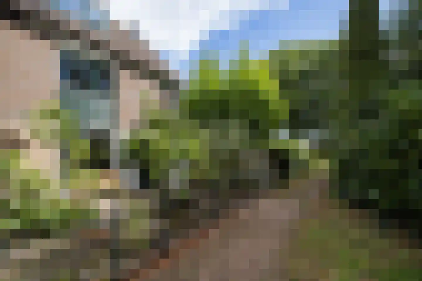 Perenlaan 20 Bilthoven thumbnail 5