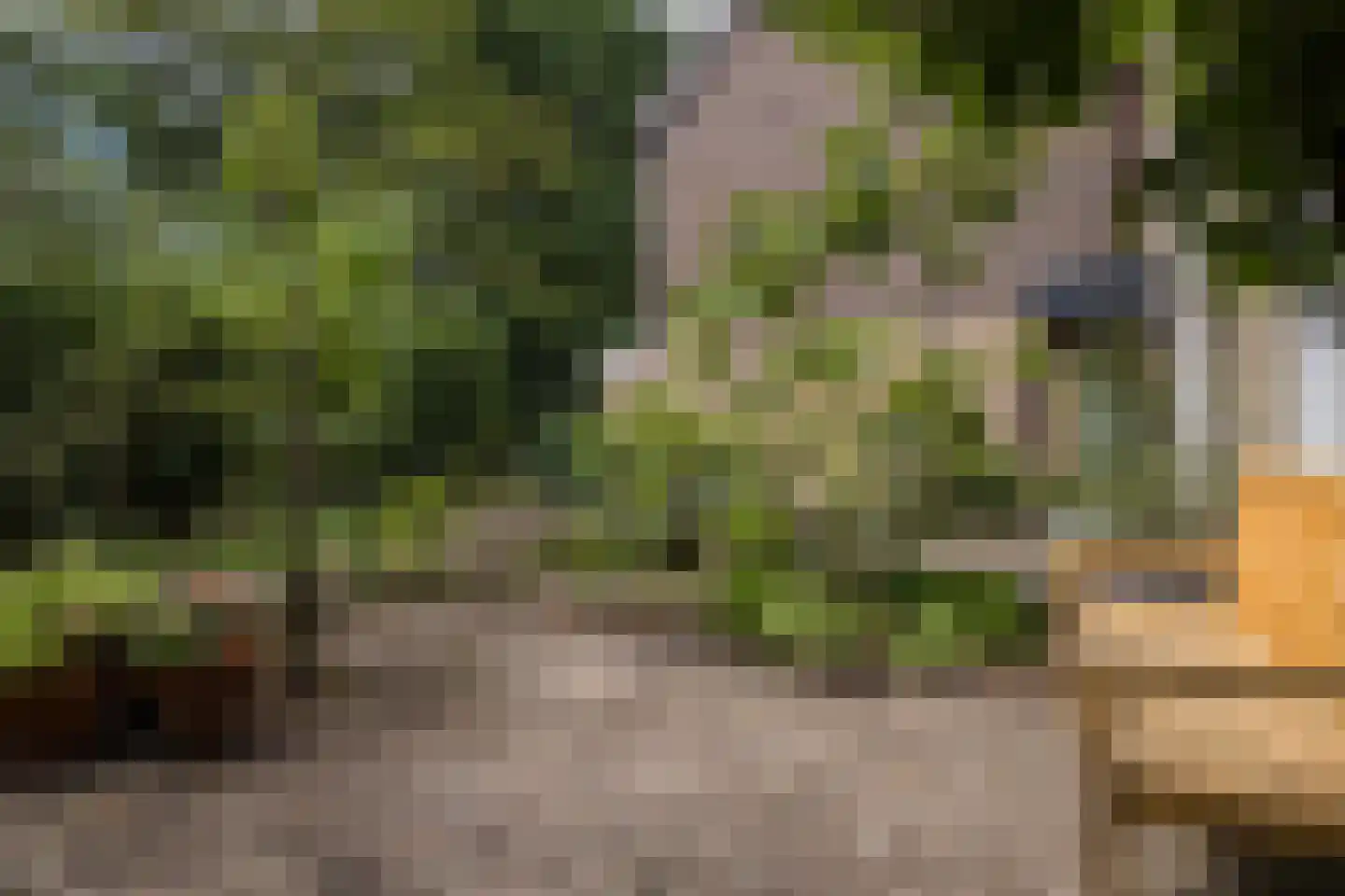 Perenlaan 20 Bilthoven thumbnail 52