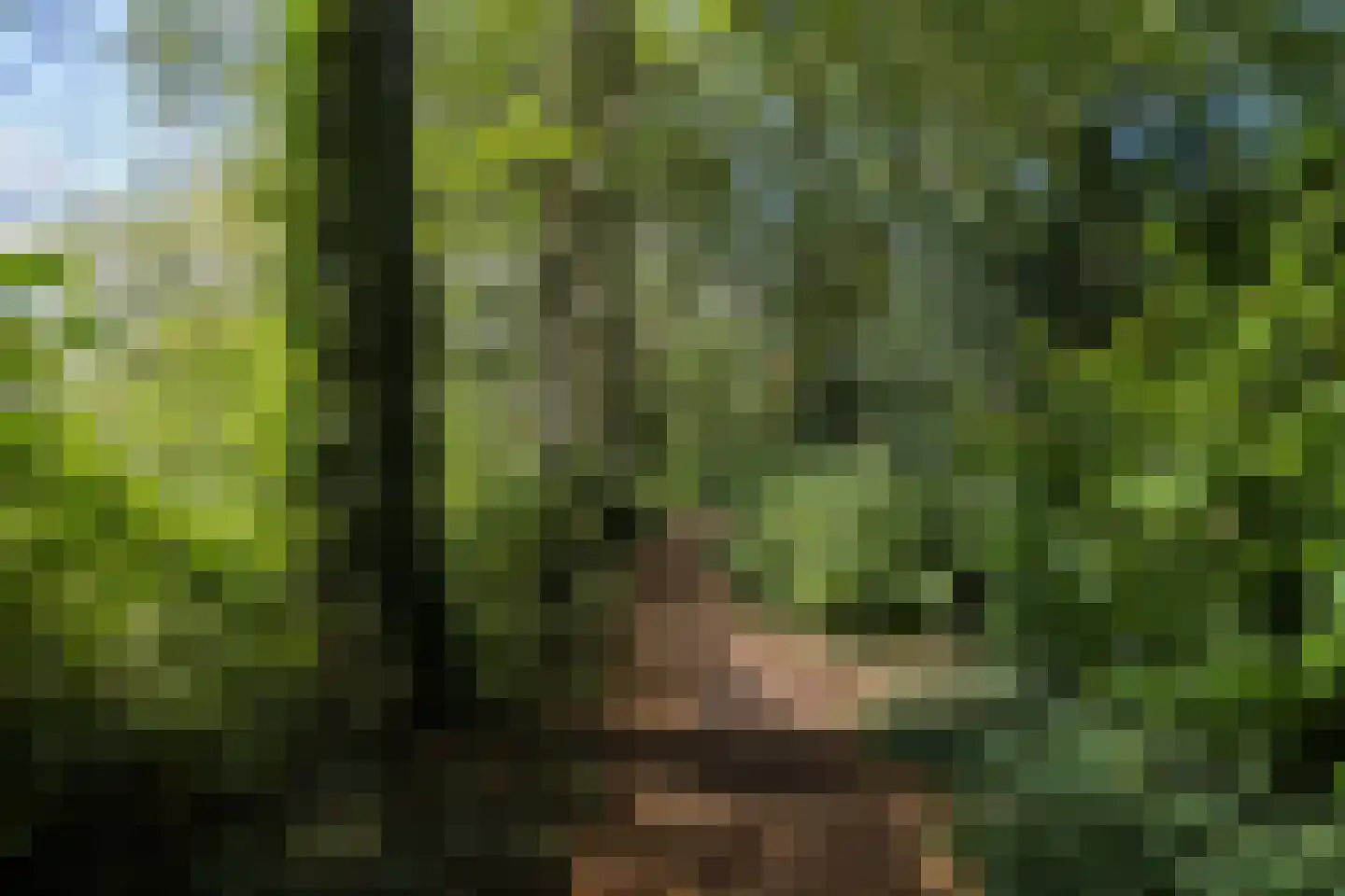 Perenlaan 20 Bilthoven thumbnail 55