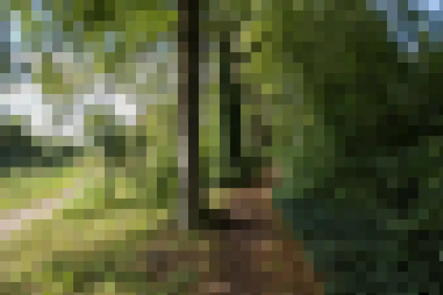 Perenlaan 20 Bilthoven thumbnail 56