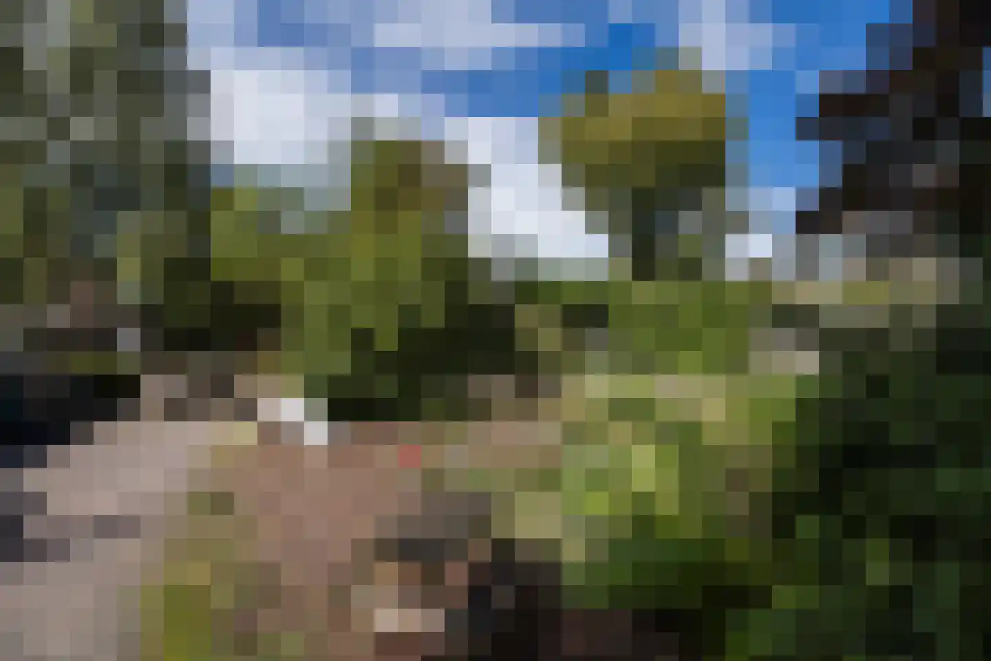 Perenlaan 20 Bilthoven thumbnail 59