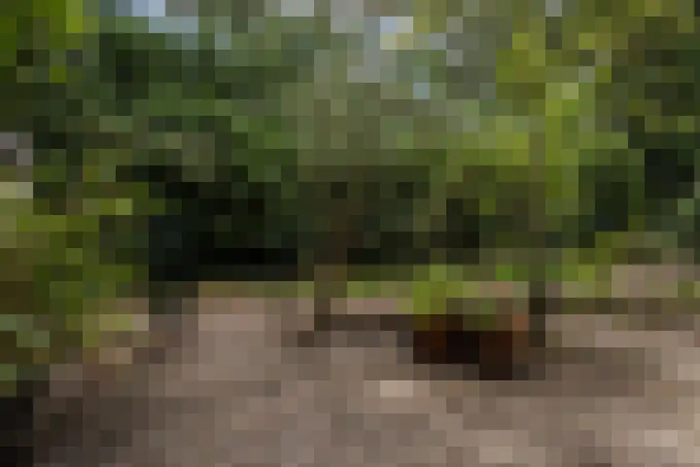 Perenlaan 20 Bilthoven thumbnail 6