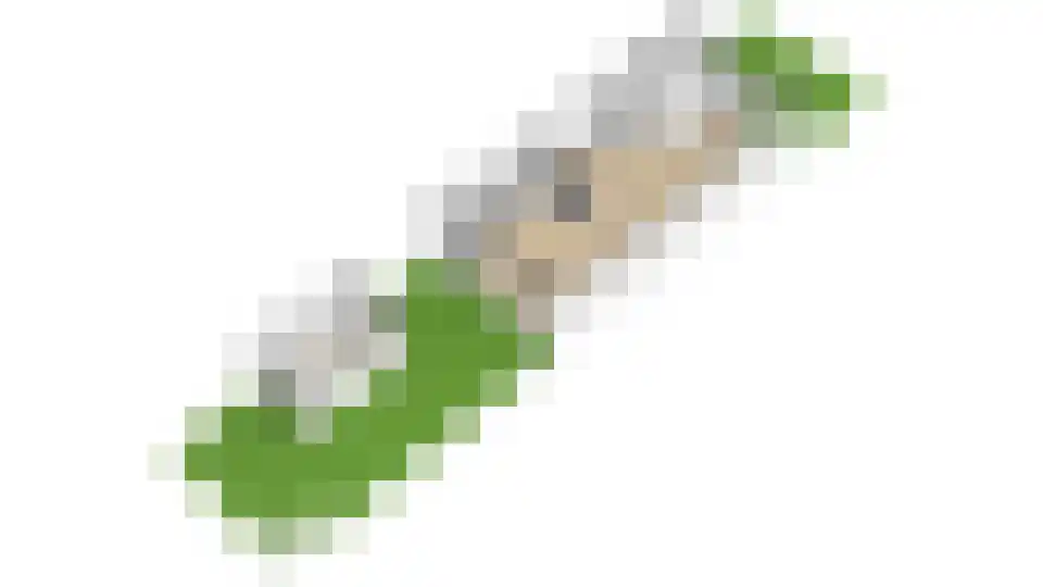 Perenlaan 20 Bilthoven thumbnail 61