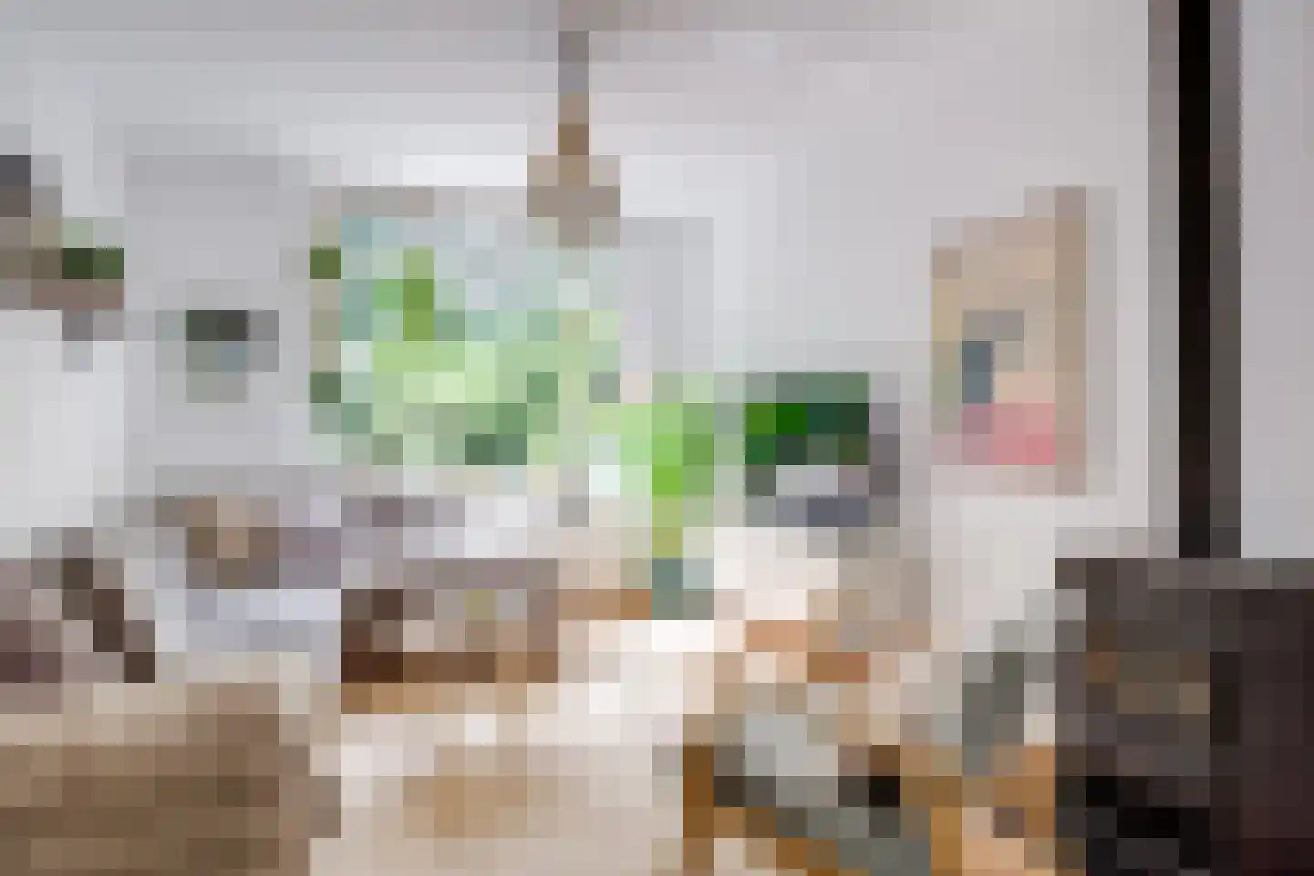 Perenlaan 20 Bilthoven thumbnail 8