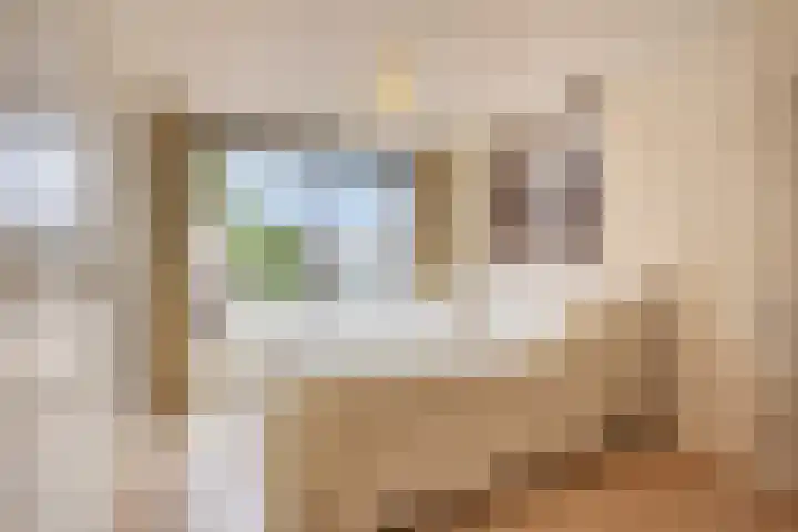 Perenlaan 4 Kortgene thumbnail 18
