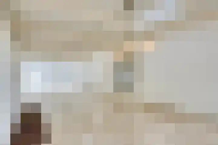 Perenlaan 4 Kortgene thumbnail 22