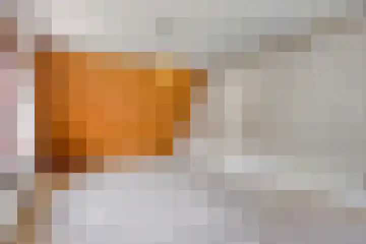 Perenlaan 4 Kortgene thumbnail 25