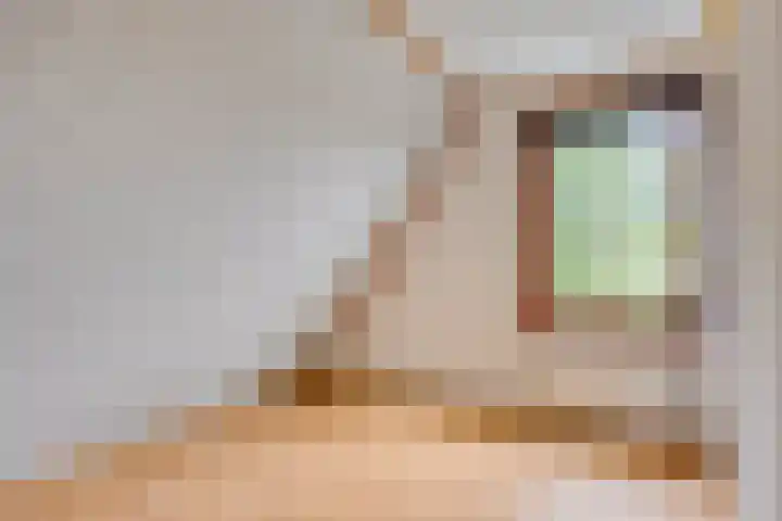 Perenlaan 4 Kortgene thumbnail 29