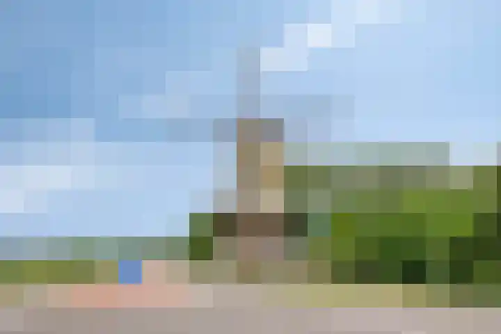 Perenlaan 4 Kortgene thumbnail 36